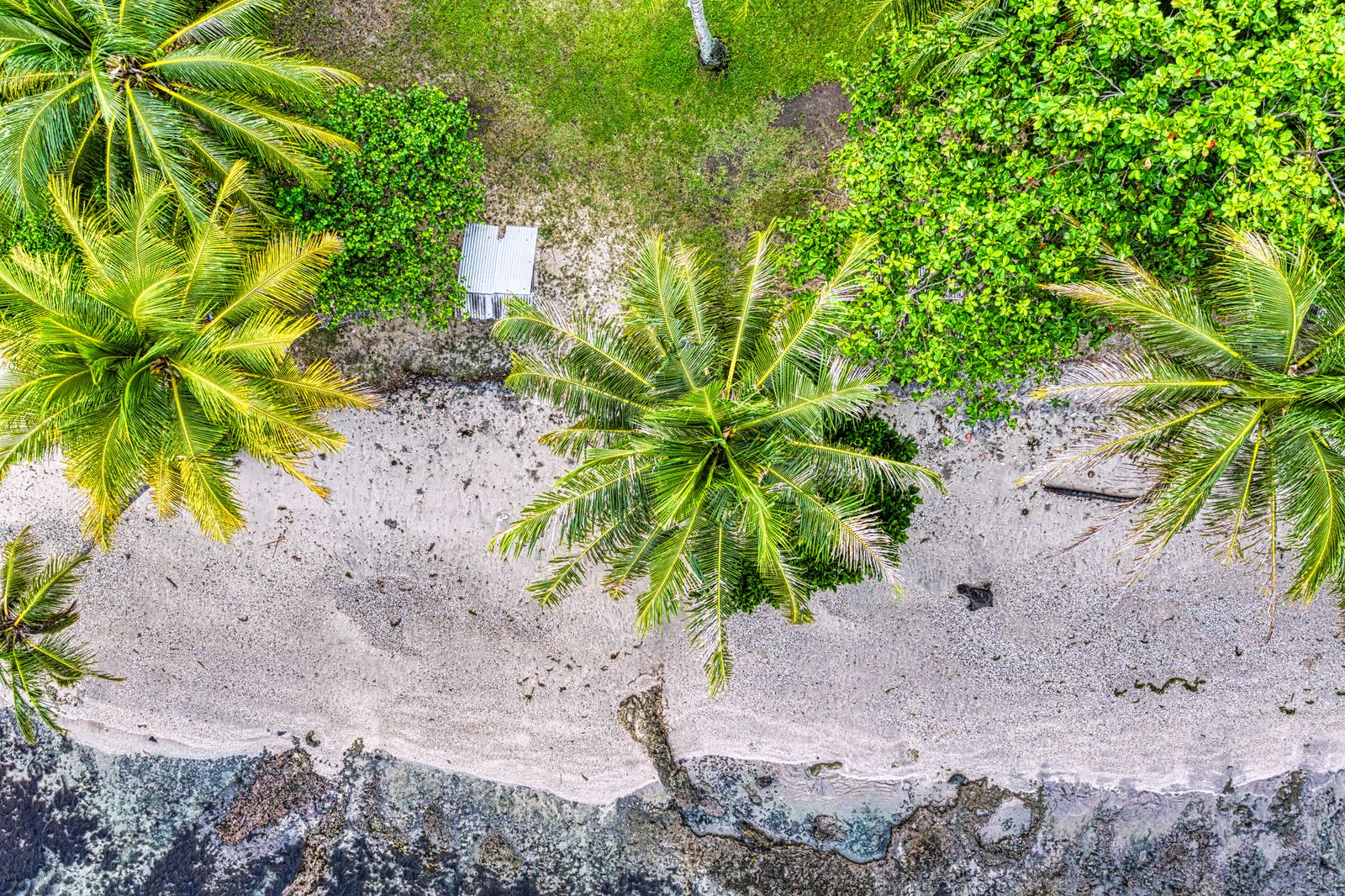 GANESH RAMSUMAIR — Harbor views with full bars: coverage where travelers actually go.