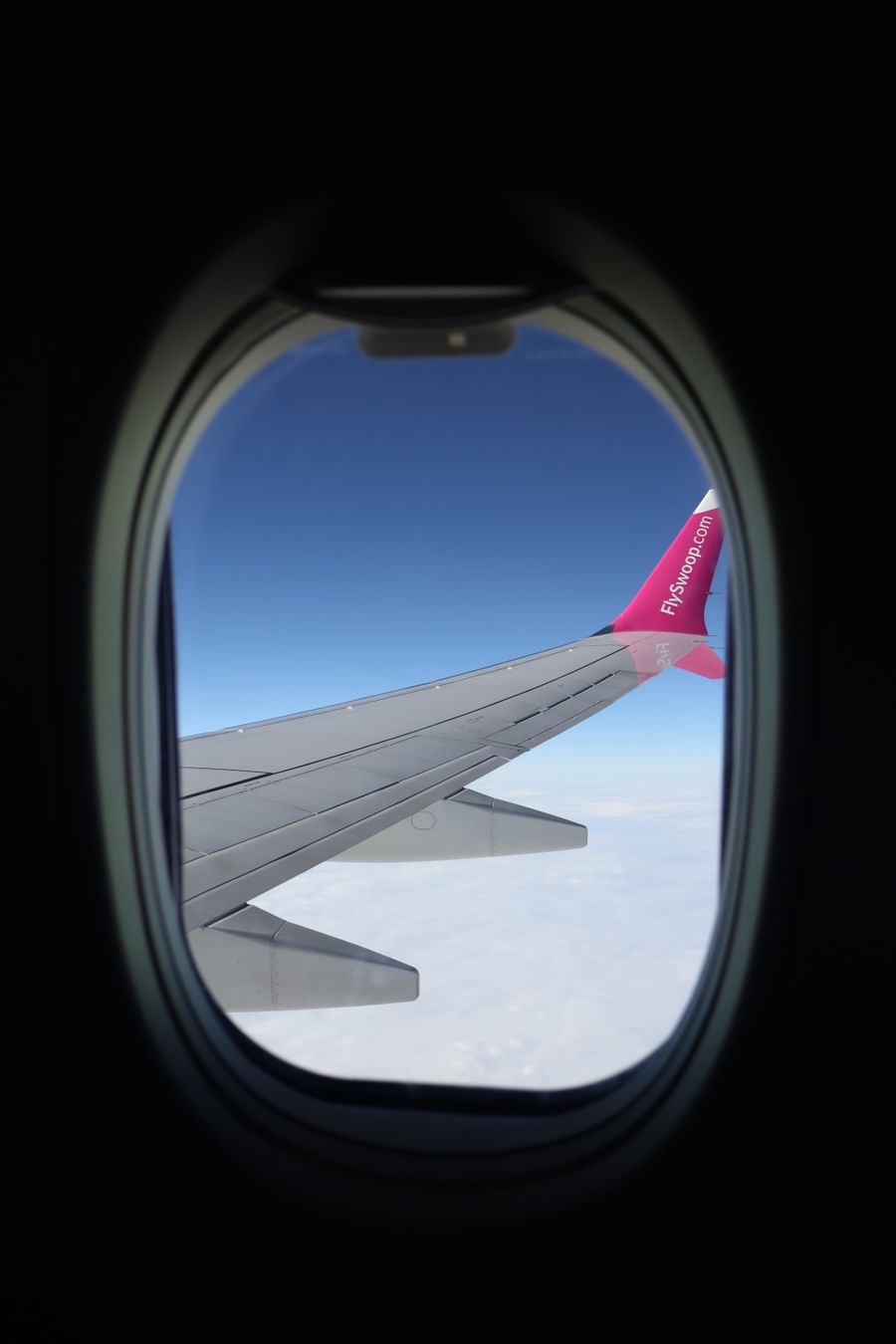 airplane wing seen through window