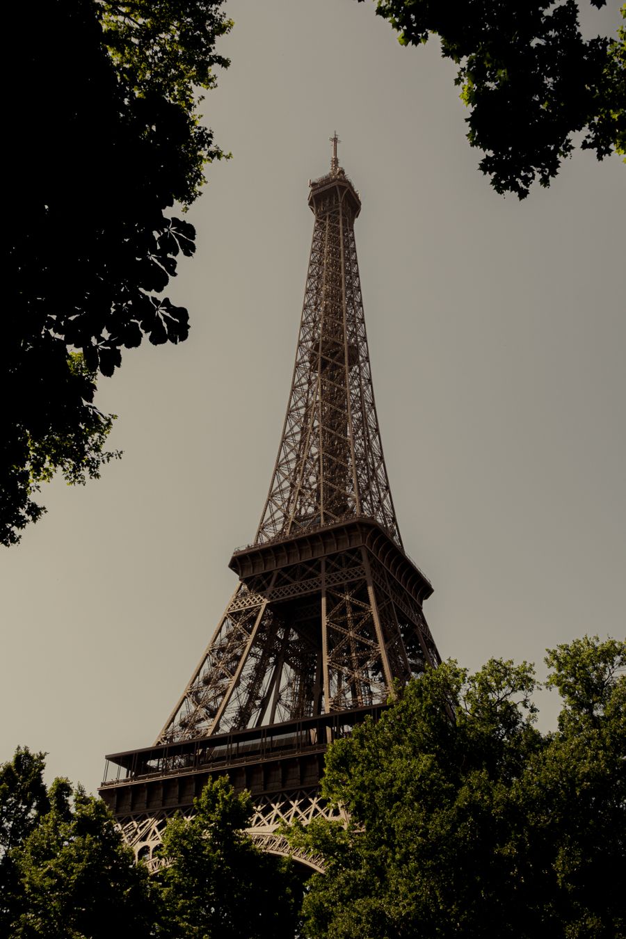 iconic eiffel tower in summer foliage — Hora dorada, totalmente en línea — las copias de fotos suben antes de la cena.