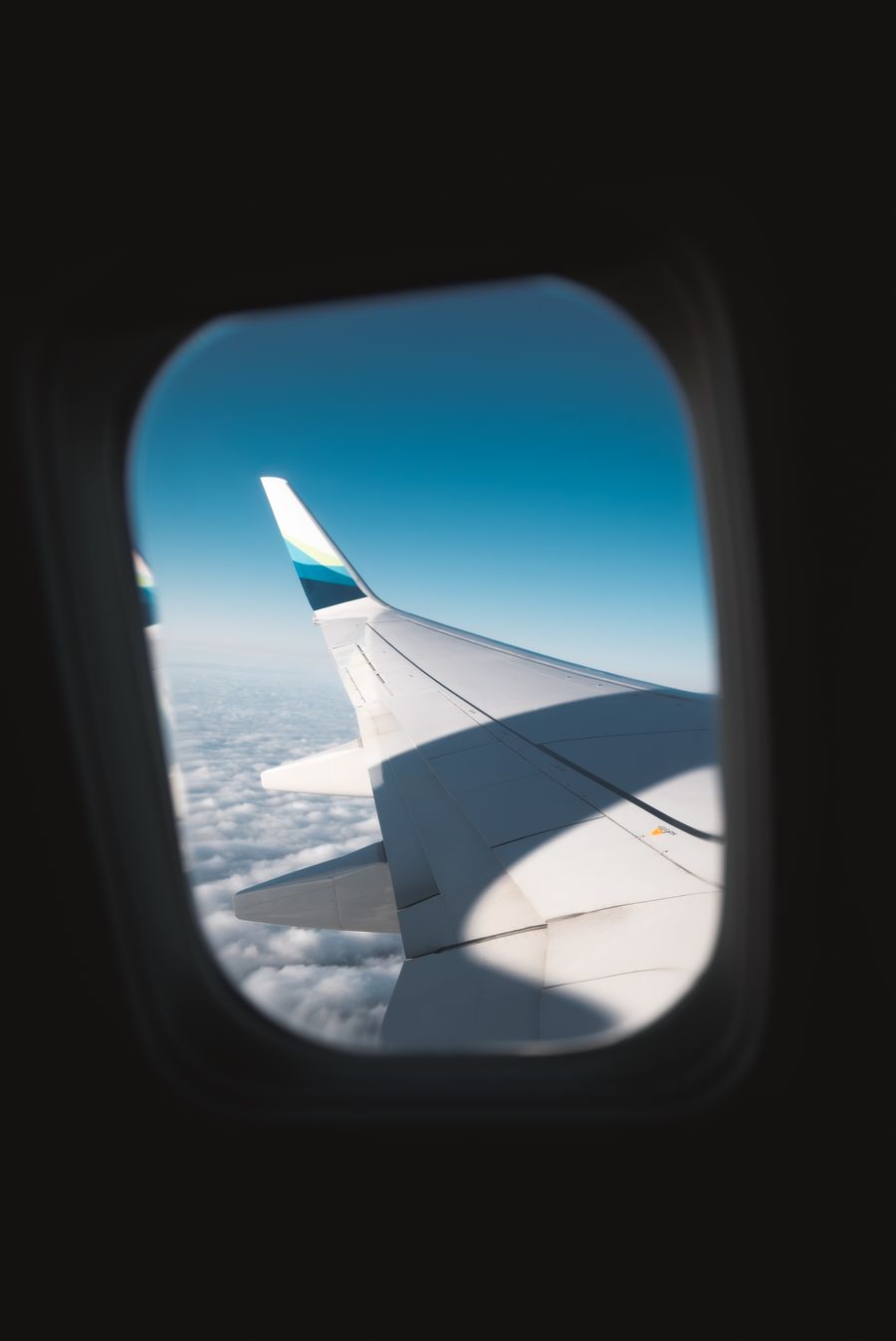 white airplane wing — DNS Leak Test accepts your trip details and hands back a clear recommendation.