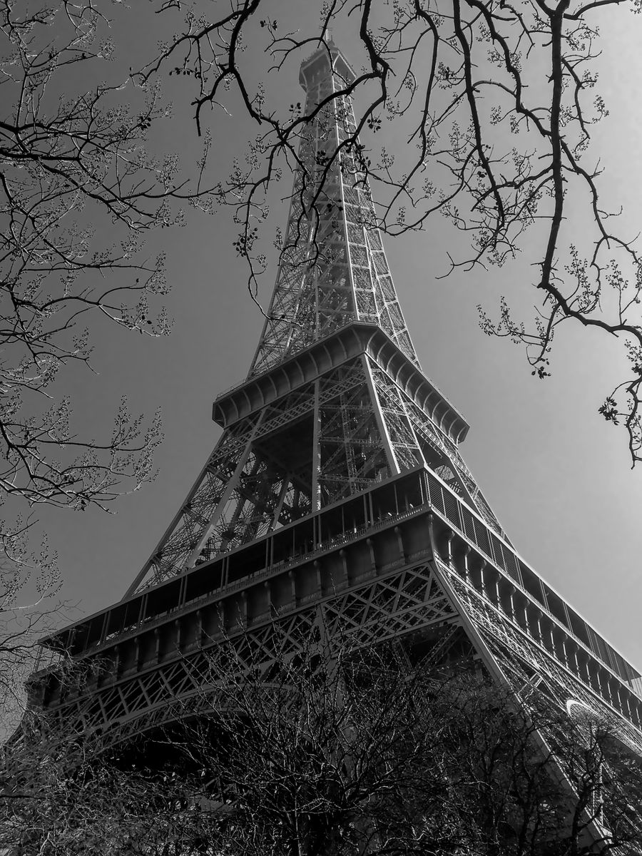 black and white eiffel tower framed by trees
