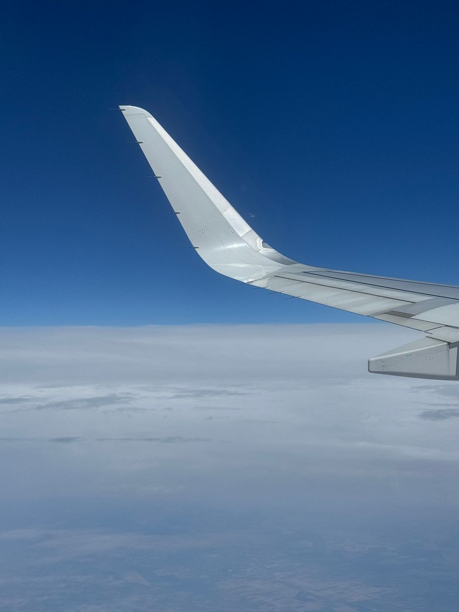 airplane wing above the clouds on a clear day — The spec grid shows exactly what Multi-Country eSIM Guide accepts and what it returns.
