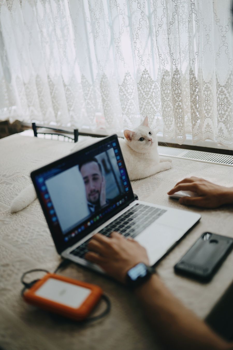 crop man working on laptop at table with domestic cat — Lost in the medina, found by GPS: the blue dot never lies.